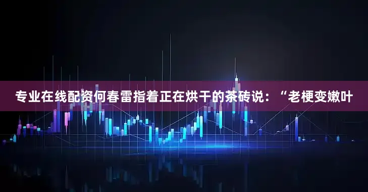 专业在线配资何春雷指着正在烘干的茶砖说：“老梗变嫩叶